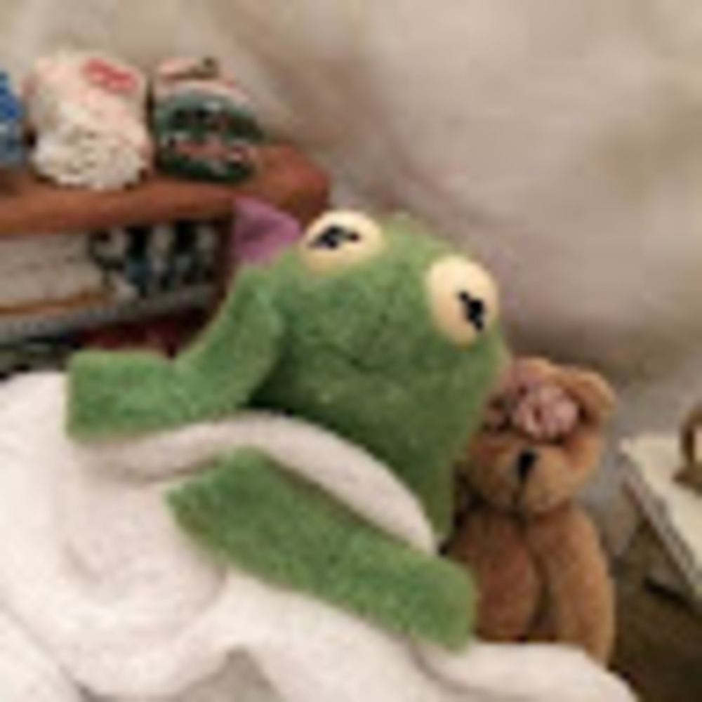 Meet your Posher, Lynley